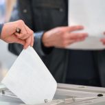 «Единая Россия» получила 81% мандатов на выборах в воскресенье