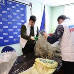 «Единая Россия» проводит благотворительную акцию «Тепло для Героя» ко Дню защитника Отечества по всей стране