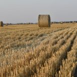По Народной программе «Единой России»-2021 на развитие сельских территорий дополнительно направят 12 миллиардов рублей