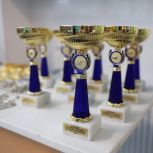 «Единая Россия» дала старт соревнованию «Лучшая спортивная трудовая команда России» в рамках марафона «Сила России»