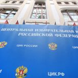 Владимир Якушев: ЦИК работает профессионально – РИА Новости