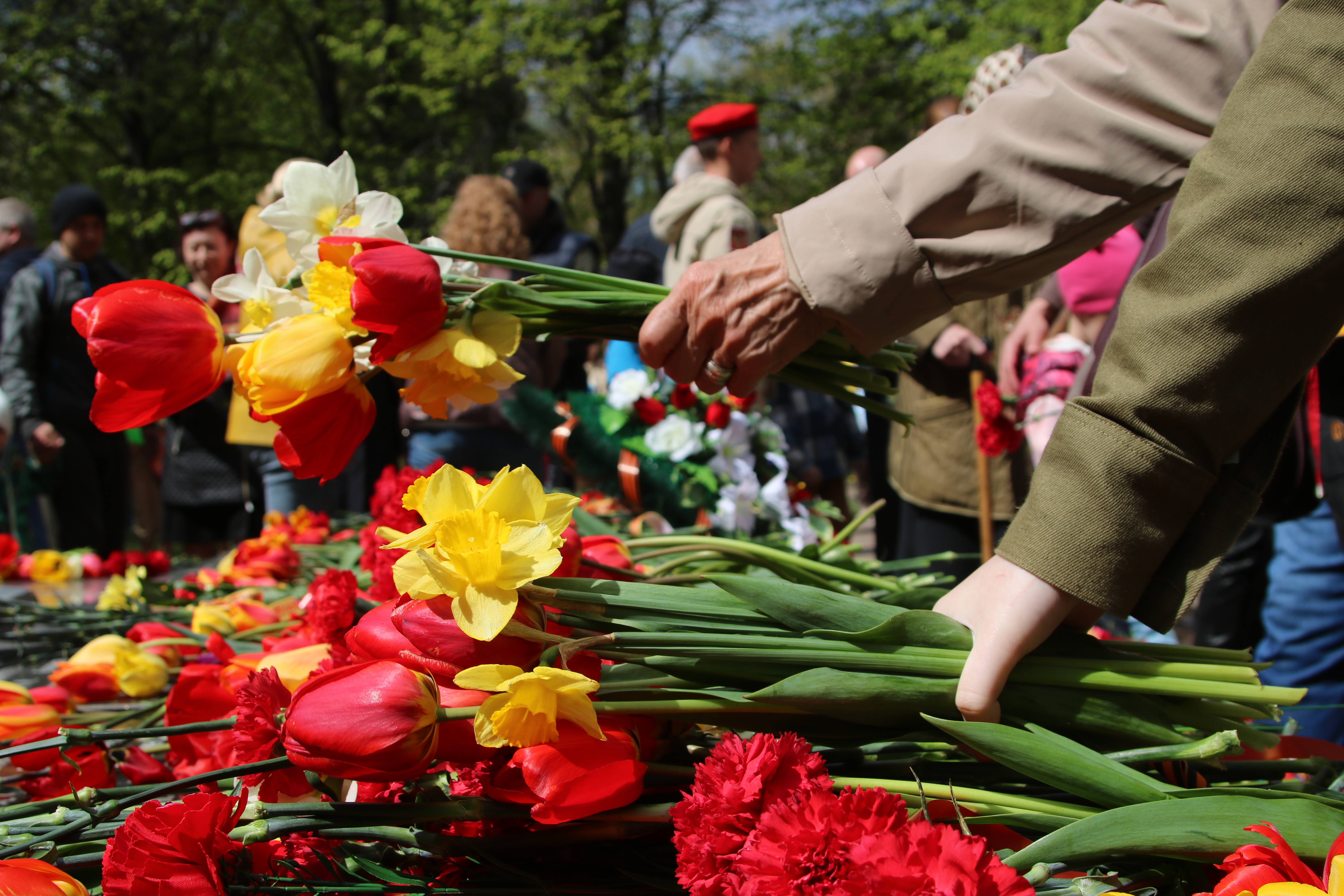 Московская область