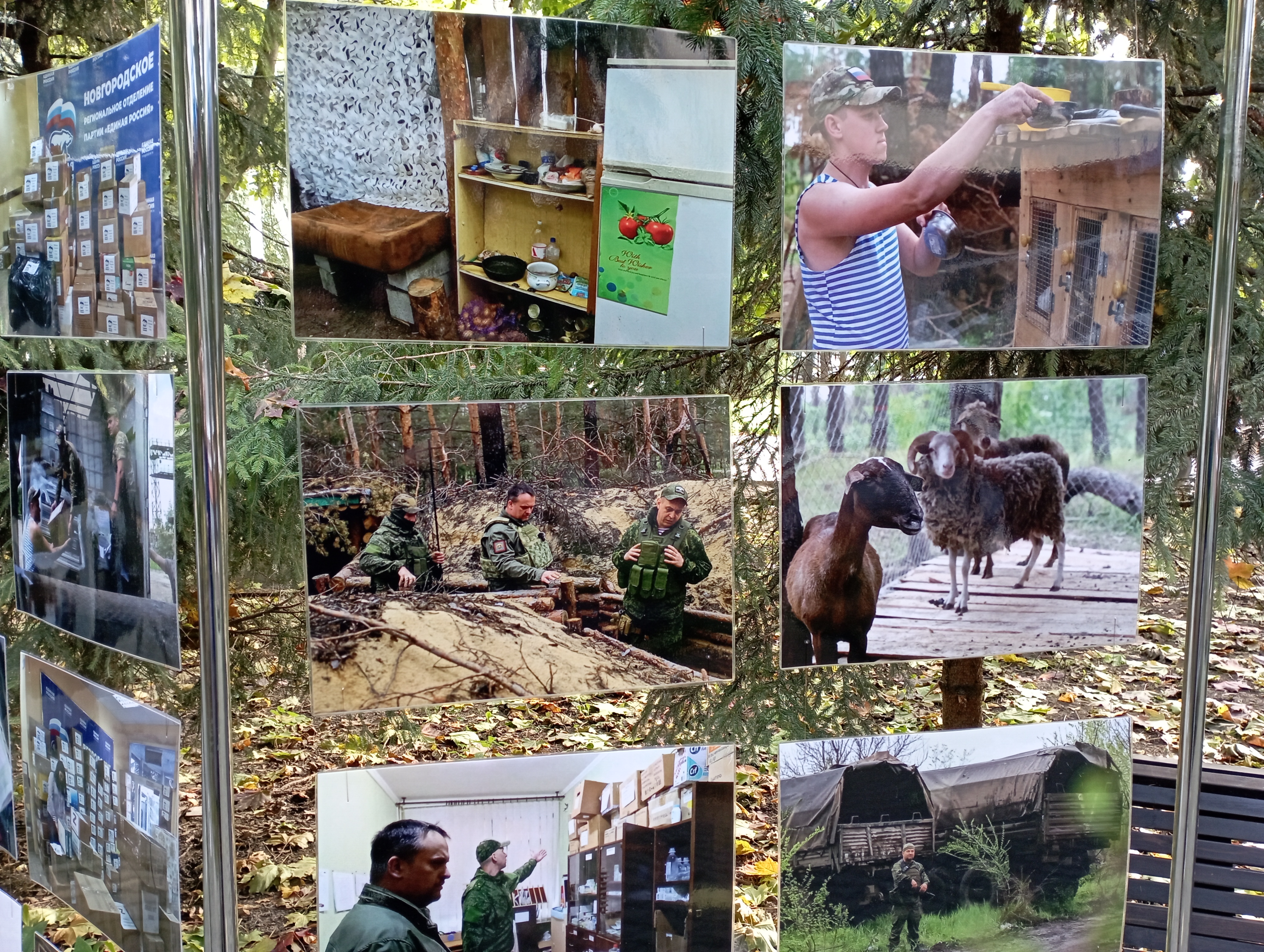 Новгород