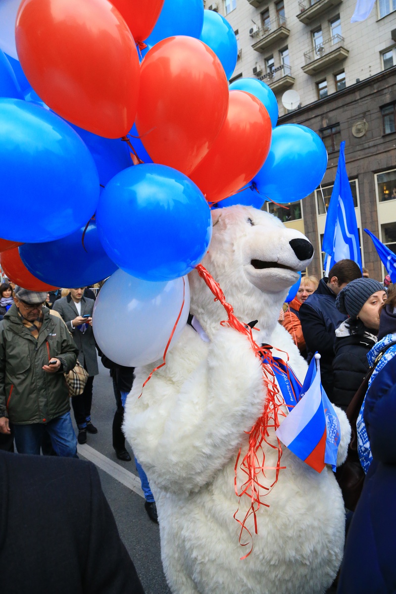 Шествие и митинг «Мы едины» в честь Дня народного единства в Москве