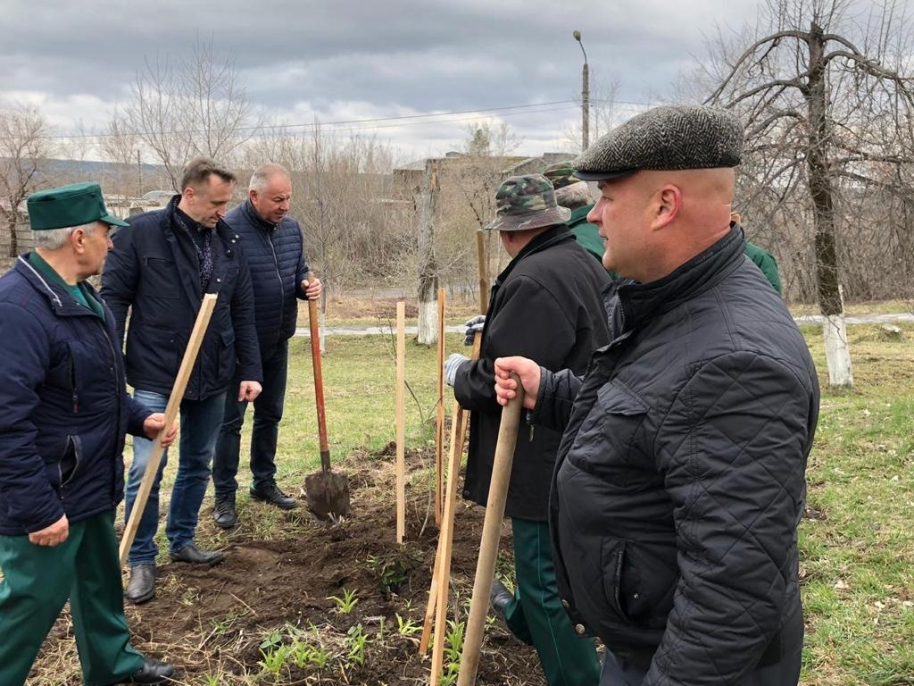  В Фокино партийцы провели экологическую акцию «Посади дерево»